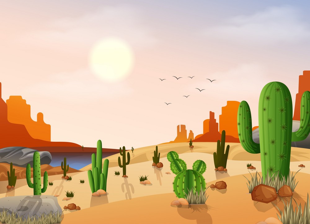 Backgroound Image
